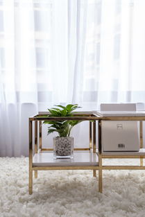 心里的棲所 | 69㎡北歐風家具搭配指南